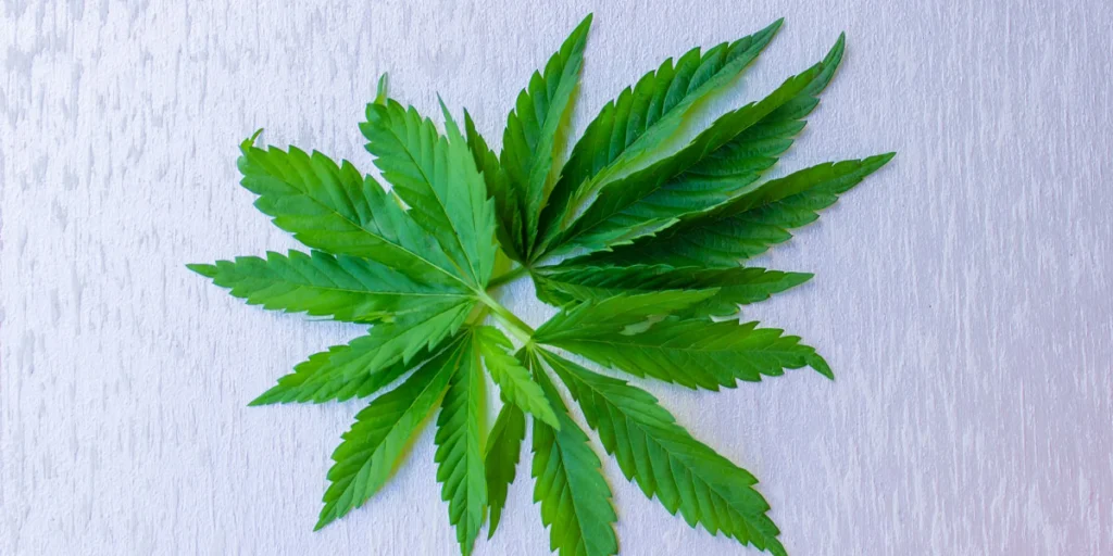 How Long Do Weed Withdrawals Last?