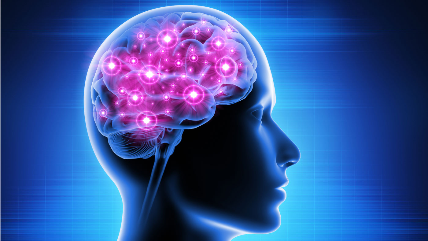 An image of a human head from the side, with a view into the brain, with parts of the brain illuminated showin How Acid Affects Your Brain