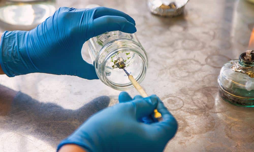 Valium-Usage,-Side-Effects,-and-More